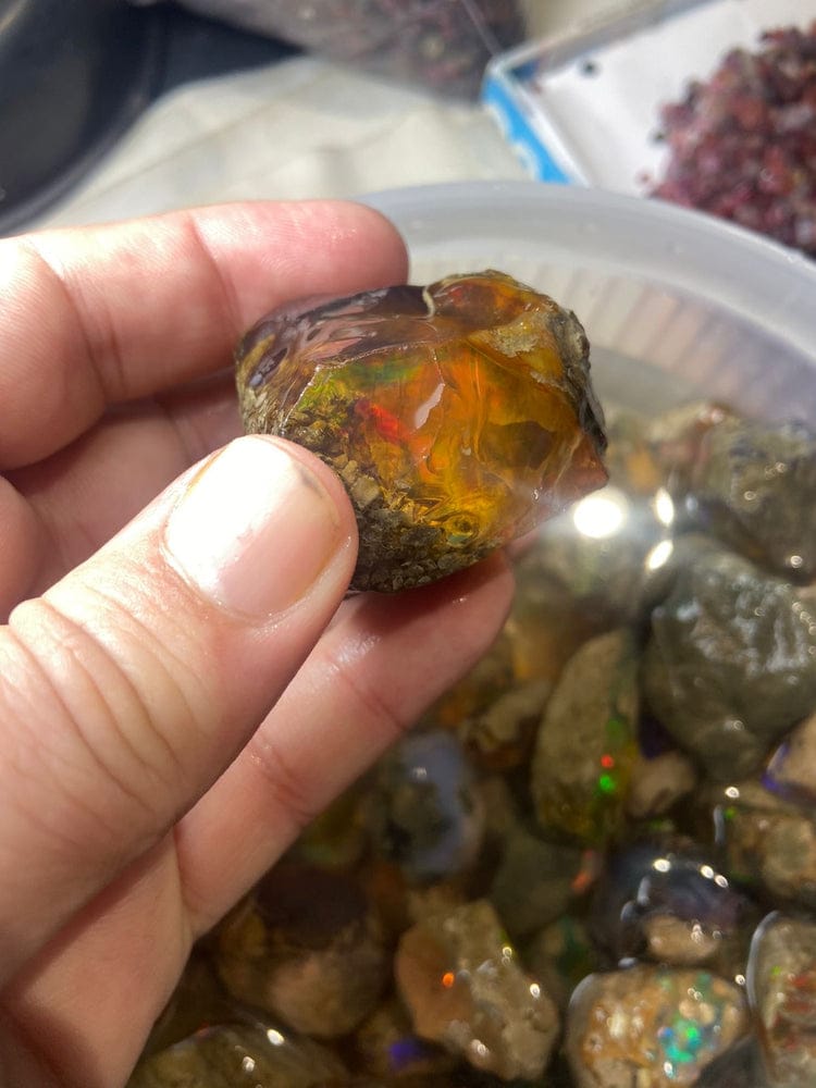 buy this beauty of colour this opal