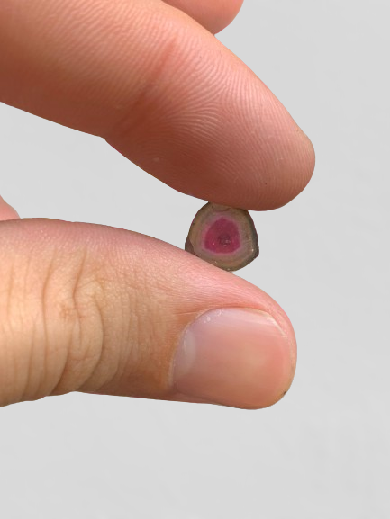 300 carats Bi Color Watermelon Tourmaline Slices