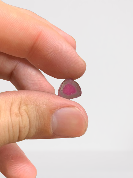 300 carats Bi Color Watermelon Tourmaline Slices