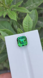 Check Out The Video Of This Cut Stone Tourmaline