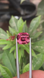 Check Out the Video Of This Natural Tourmaline Cut Stone